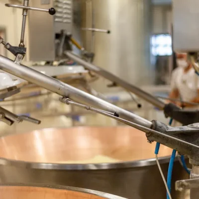 parmigiano-reggiano-hard-grate-cheese-industrial-p-2025-02-18-01-00-35-utc